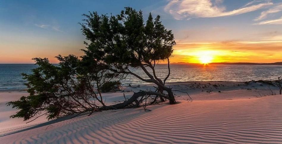 Case Vacanze "Bianco Mare" Porto Pino Kültér fotó